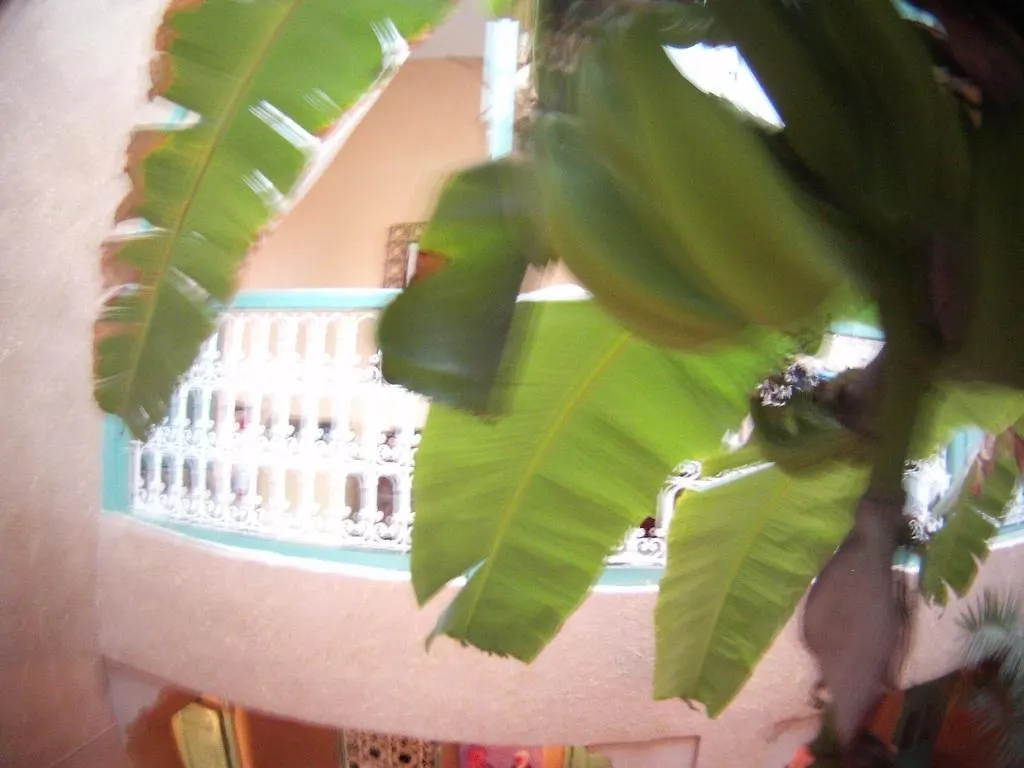 Riad Dar Mchicha Marraquexe