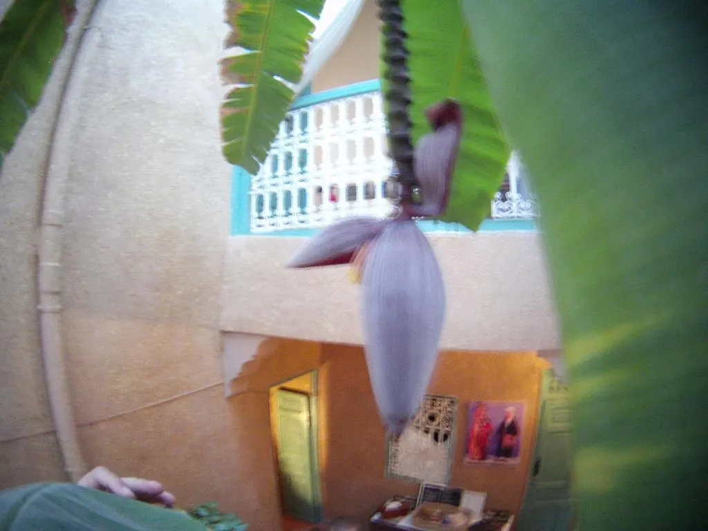 Riad Dar Mchicha Marraquexe